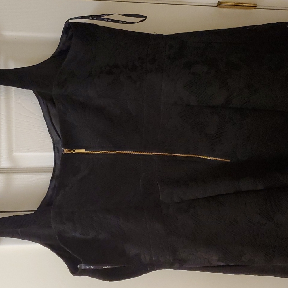 Poppy bloom lace overlay midi dress with gold back zip fully lined NWOT - Picture 2 of 9